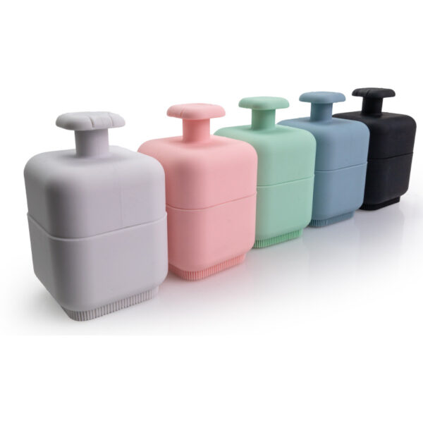 Multi-function mold face wash brush