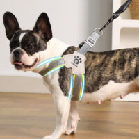 Pet Y-shaped nylon webbed chest strap