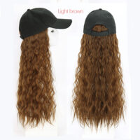 Hair roll cap integrated head cover